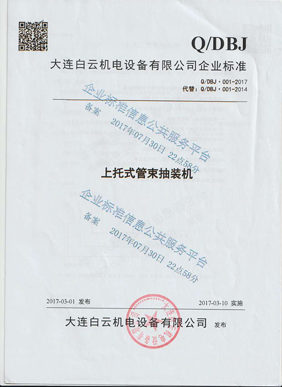 Company Standard